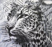 Ткань Перкаль 220 см рис. 206931 Книга джунглей 1 (основа), миниатюра 2